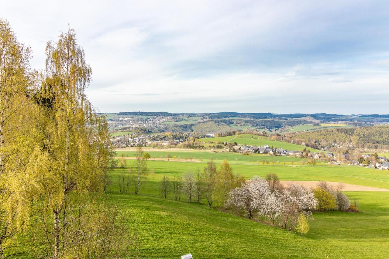 Apartment Bergwiese I Balkon I Aufzug I Stellplatz Schwarzenberg  Eksteriør billede